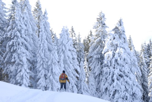 Winterwanderung von Schliersee (780m) &uuml;ber Gindelalm (1242m) nach Tegernsee (735 m)