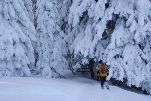 Winterwanderung von Schliersee (780m) &uuml;ber Gindelalm (1242m) nach Tegernsee (735 m)