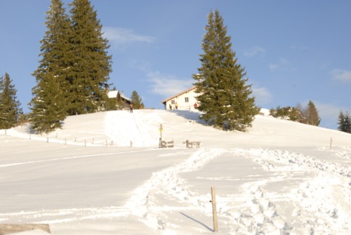 Winterwanderung von Schliersee (780m) &uuml;ber Gindelalm (1242m) nach Tegernsee (735 m)