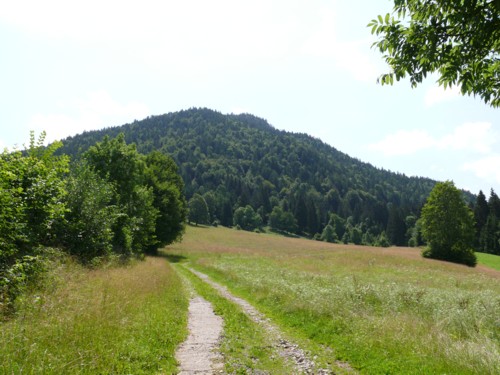 Grasleitensteig, Lenggrieser Hütte