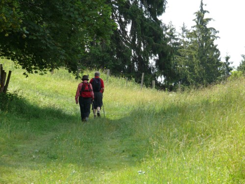 Lenggries zur Lenggrieser Hütte, Grasleitensteig