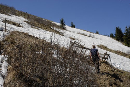 Aufstieg vom Wallberghaus auf den Setzberg