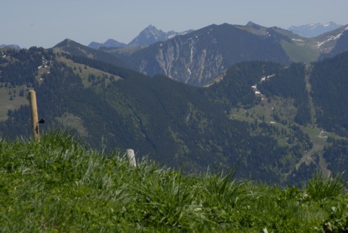 Blick vom Selzberg nach Osten