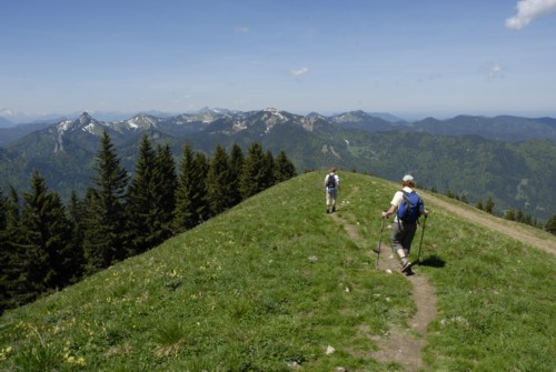 Abstieg vom Selzberg