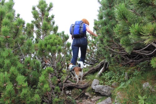 Risserkogel | Wallberghaus | Bayerische Voralpen