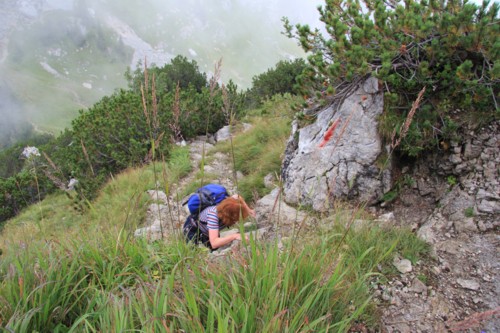 Risserkogel | Wallberghaus | Bayerische Voralpen