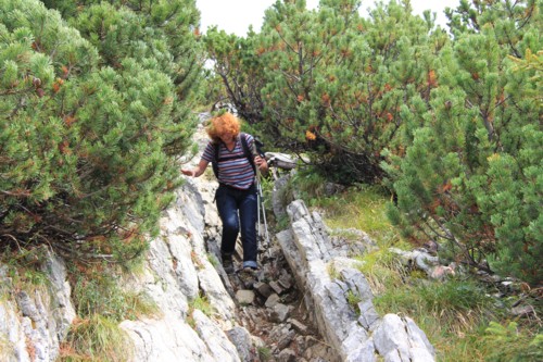Risserkogel | Wallberghaus | Bayerische Voralpen