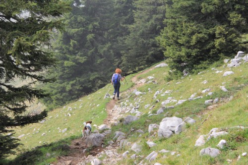 Risserkogel | Wallberghaus | Bayerische Voralpen