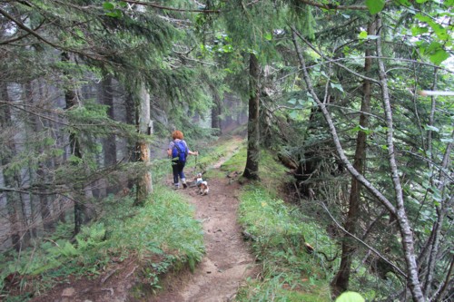 Risserkogel | Wallberghaus | Bayerische Voralpen