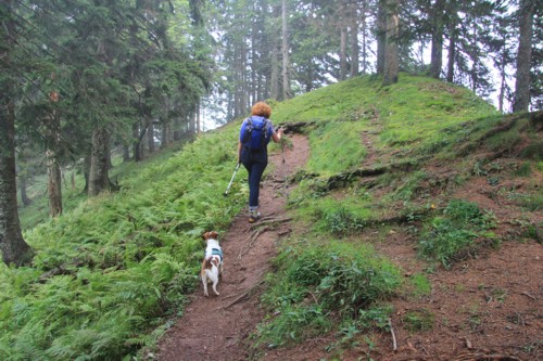 Risserkogel | Wallberghaus | Bayerische Voralpen