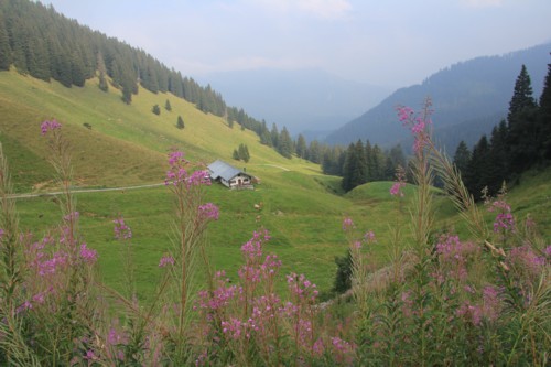 Risserkogel | Wallberghaus | Bayerische Voralpen