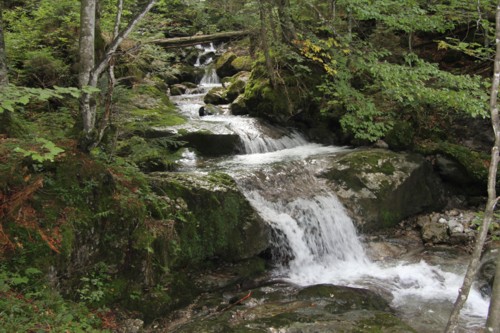 Risserkogel | Wallberghaus | Bayerische Voralpen