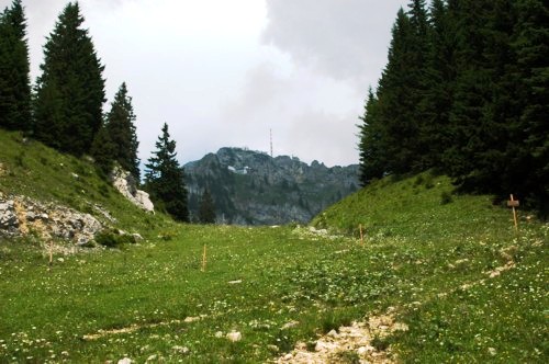 Blick auf den Wendelstein vom Weg von Osterhofen aus
