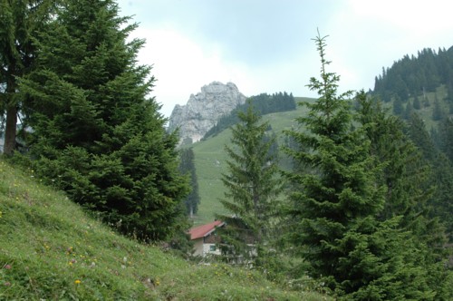 Blick auf die Wendelsteinalm. Im Hintergrund erscheint das Felsmassiv, das sich rechts vom Wendelstein befindet (Lacherspitz, Tagwerkkopf, Wildalpjoch)