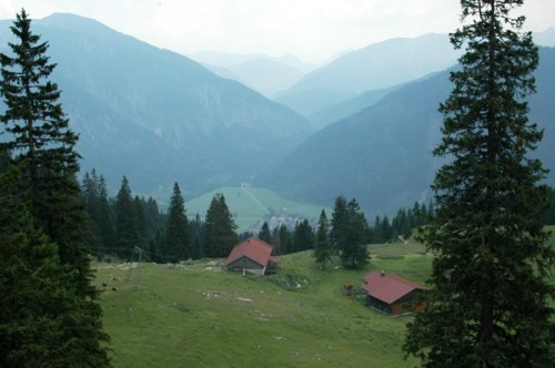 Blick auf die Wendelsteinalmen vom Geo-Park aus
