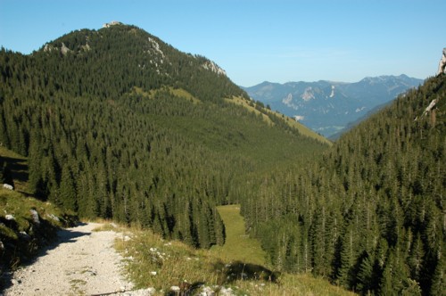 Auf dem Maximiliansweg vom Wendelstein nach Brannenburg