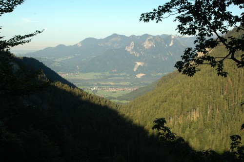 Weg zur&uuml;ck nach Brannenburg nach der Mitterfeldalm
