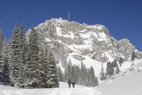 Schneeschuhtour von Osterhofen (791 m) zum Wendelsteinhaus (1740 m)