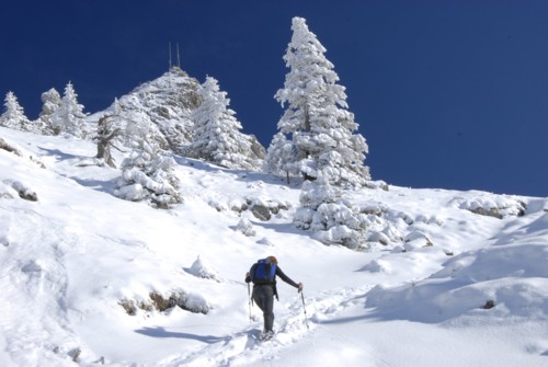 Schneeschuhtour von Osterhofen (791 m) zum Wendelsteinhaus (1740 m)