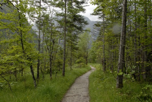 Bartholomä | Königssee | Kärlingerhaus | Nationalpark Berchtesgaden | Steinernes Meer