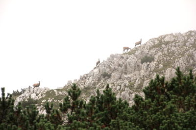 Toni Lenz Hütte | Stöhrhaus