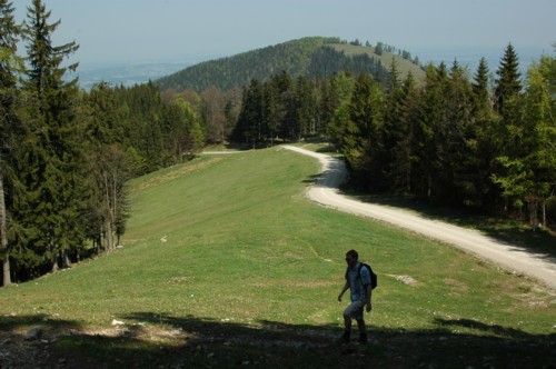 Chiemgauer | Kampenwand | Gloriaalm | Sonnenalm | Steinlingalm