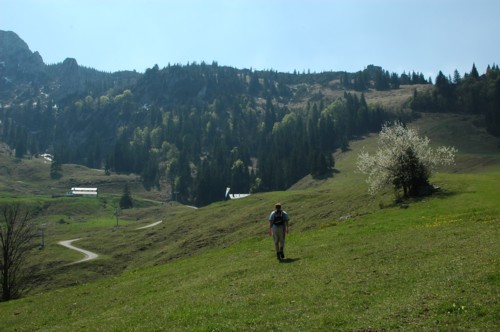 Chiemgauer | Kampenwand | Gloriaalm | Sonnenalm | Steinlingalm