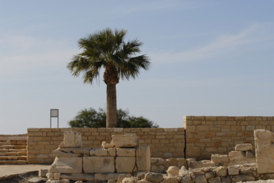 Arch�ologie Zypern Kourion