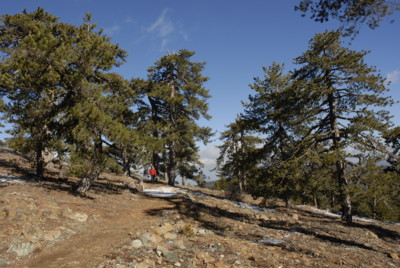 Wanderung um den Olympos, Zypern