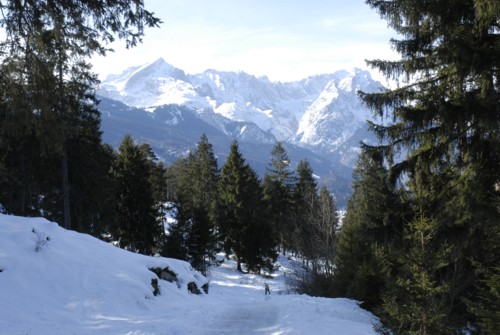 Partenkichen | Esterbergalm | Estergebirge