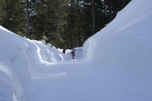 Partenkichen | Esterbergalm | Estergebirge