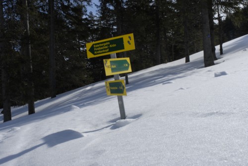 Partenkichen | Esterbergalm | Estergebirge