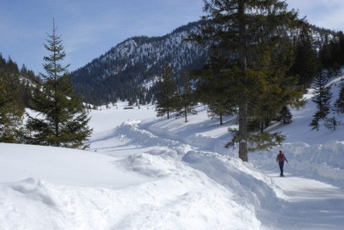 Partenkichen | Esterbergalm | Estergebirge