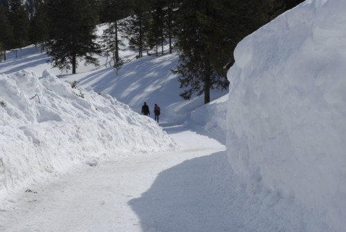Partenkichen | Esterbergalm | Estergebirge