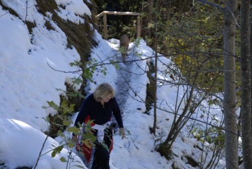 Winterwanderung von Partenkirchen auf die Gamshütte
