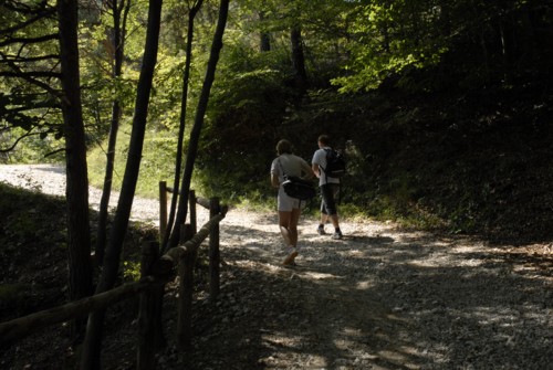 Von Pregasina zur Cima Mughera