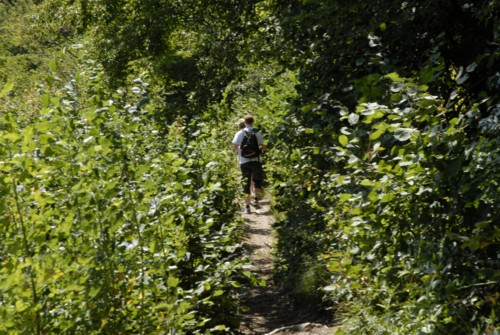 Von Pregasina zur Cima Mughera