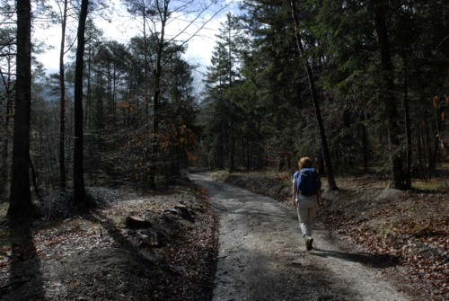 Gardasee | Ledrosee | Pur | Passo Nota