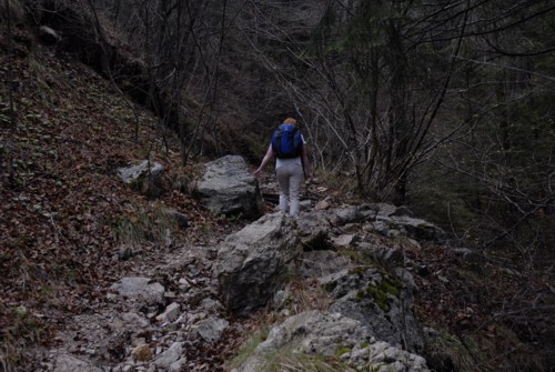 Gardasee | Ledrosee | Pur | Passo Nota