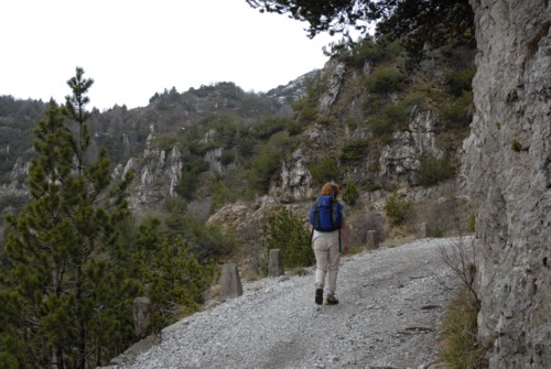 Gardasee | Ledrosee | Pur | Passo Nota