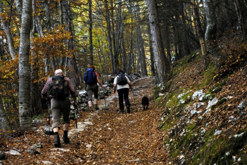 Gardasee | Monte Baldo
