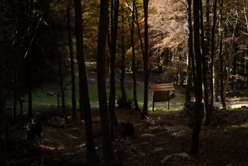 Gardasee | Monte Baldo