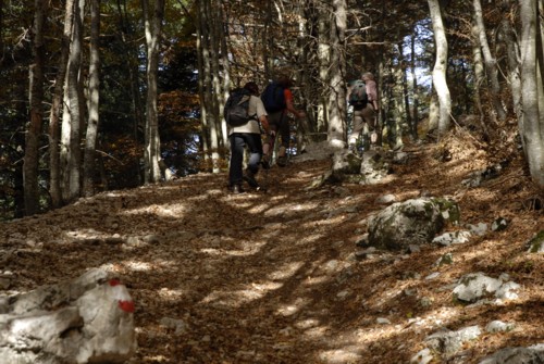 Gardasee | Monte Baldo