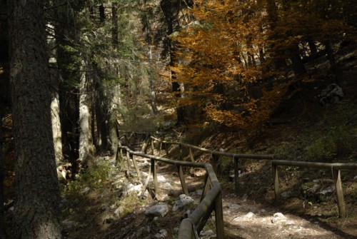 Gardasee | Monte Baldo