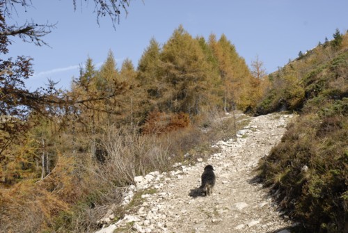 Gardasee | Monte Baldo