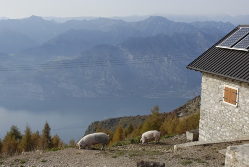 Gardasee | Monte Baldo