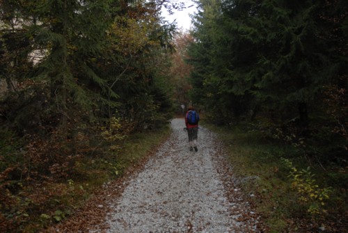 Gardasee | Tenno | San Pietro | Monte Misone