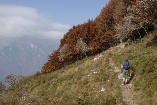 Gardasee | Tenno | San Pietro | Monte Misone