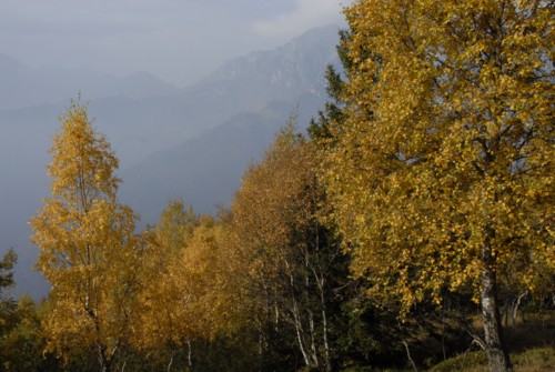 Gardasee | Tenno | San Pietro | Monte Misone