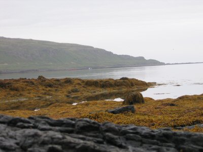 Fjorde m Westen von Island